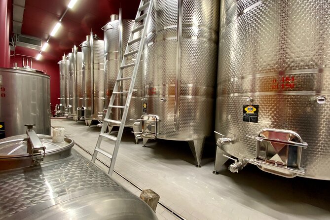 From Verona: private trip to Sirmione Lake Garda & Valpolicella Wine Region - Visiting the Valpolicella Wine Region and the Wine Producer