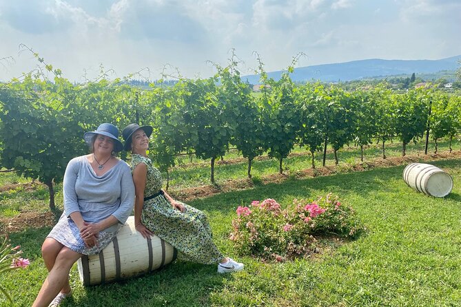 From Verona: private trip to Sirmione Lake Garda & Valpolicella Wine Region - The Unique Experience of Amarone Wine Tasting