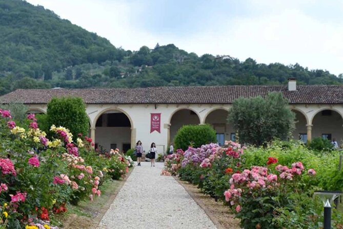 From Verona: Prosecco & Classic method sparkling wine tour, with light lunch - Tasting Prosecco at Its Source