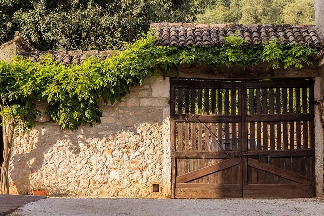 From Verona: Prosecco & Classic method sparkling wine tour, with light lunch - Learning the Difference Between Sparkling Wine Methods