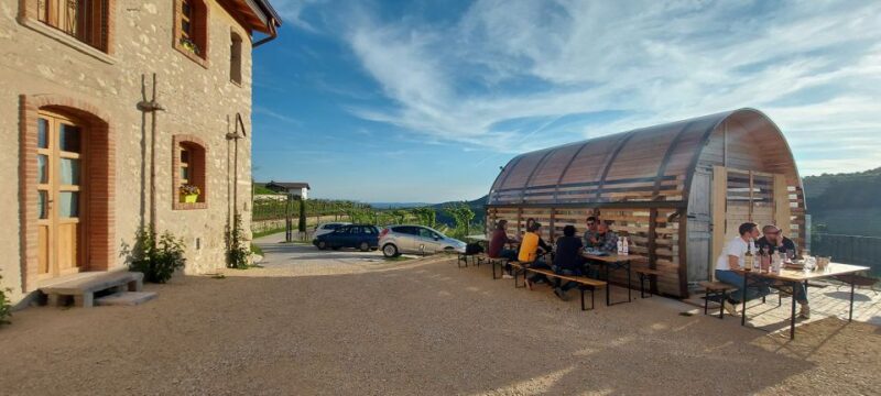 From Verona: Valpolicella Winery Tour with Amarone Vintages - Scenic Vineyard Setting and Informative Guides
