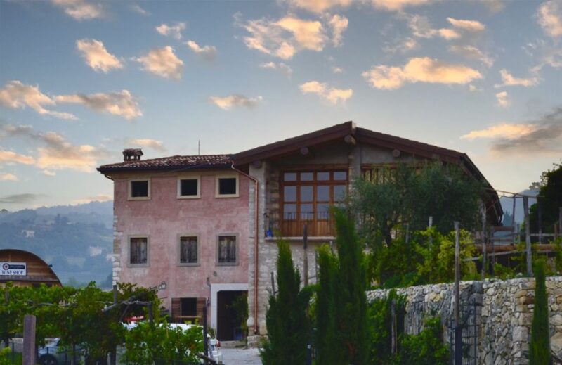 From Verona: Valpolicella Winery Tour with Amarone Vintages - Who Will Appreciate This Tour Most?