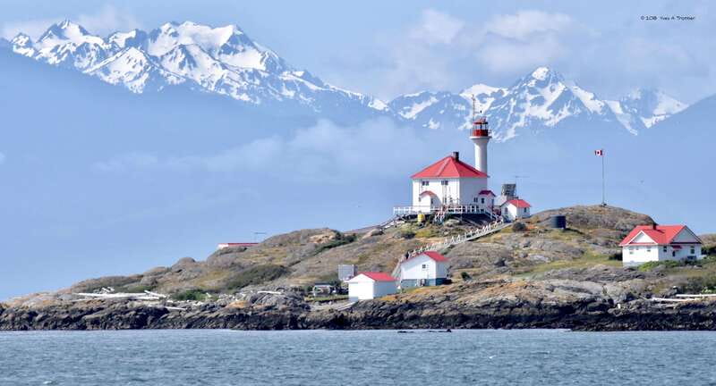 From Victoria: Whale Watching Tour by Zodiac Boat - Weather and Physical Considerations