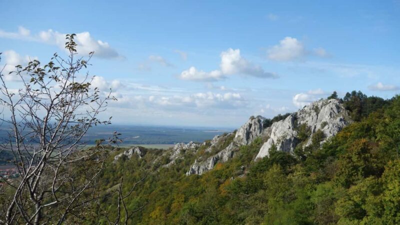 From Vienna: Bratislava & Countryside Guided Half Day Tour - Starting Point: Pickup and Transportation in Vienna