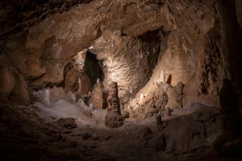 From Vienna: Bratislava & Countryside Guided Half Day Tour - Scenic Walk in the Little Carpathians