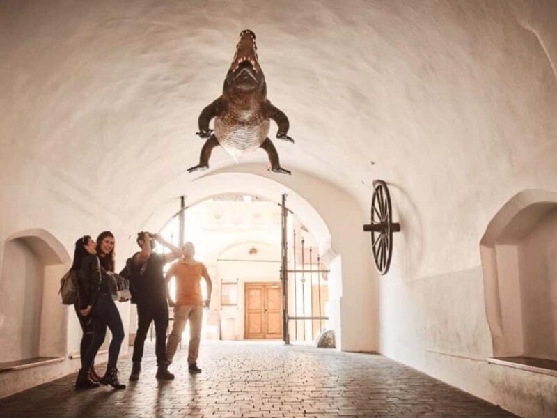 From Vienna: Brno Castles and Vineyards Day Trip - Key Points