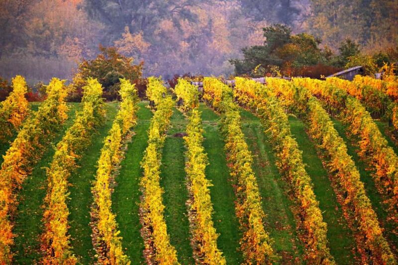 From Vienna: Cesky Krumlov Small-Group Guided Day Trip - Key Points