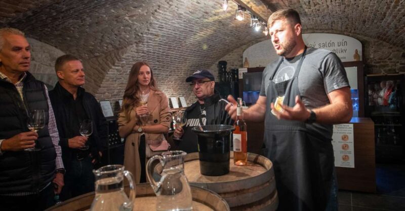 From Vienna: Explore the Tastes of Bratislava on a Day Trip - Visiting a Stylish 19th Century Wine Cellar