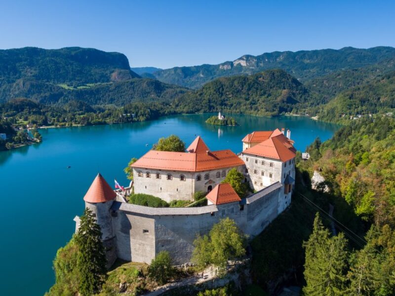 From Vienna: Private Day Tour of Ljubljana and Lake Bled - Who Should Consider This Tour