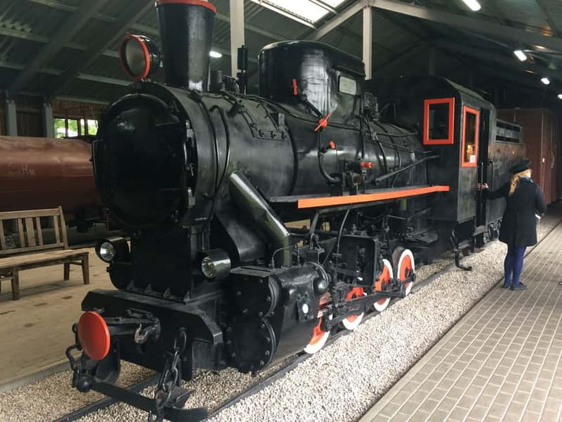 From Vilnius: Anykiai & The Hill of Crosses Day Trip - Exploring the treetop walking path and scenic views