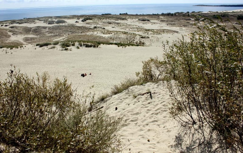 From Vilnius: Day Trip to Curonian Spit National Park - Exploring the Cormorants Colony and the Hill of Witches
