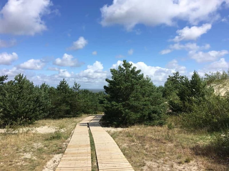 From Vilnius: Day Trip to Curonian Spit National Park - Discovering Nida Village and Its Coastal Charm