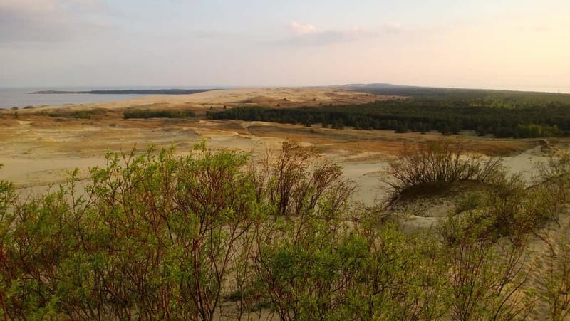 From Vilnius: Day Trip to Curonian Spit National Park - What’s Included and What to Bring