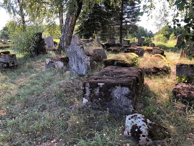 From Vilnius: Guided Jewish Heritage Day Trip to Kaunas - The Significance of Sugihara House-Museum in Kaunas