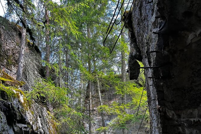 From Vilnius: Private Day Tour to Wolfs Liar (Hitler's bunker) - Departure from Vilnius and Scenic Drive to Poland