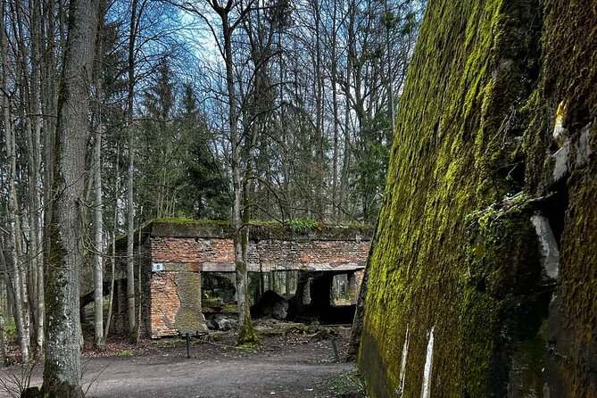 From Vilnius: Private Day Tour to Wolfs Liar (Hitler's bunker) - Return Journey to Vilnius with Scenic Highlights