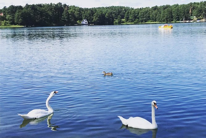 From Vilnius: Private Tour to Trakai - Who Will Appreciate This Tour Most?