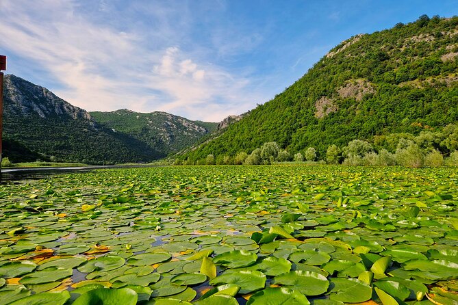 From Virpazar: Visit Karu, the hidden pearl of Lake Skadar - Key Points