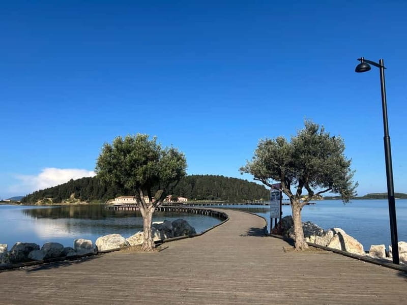 From Vlora: Zvernec, Apollonia & Berat Day Tour - Exploring Apollonia Archaeological Park