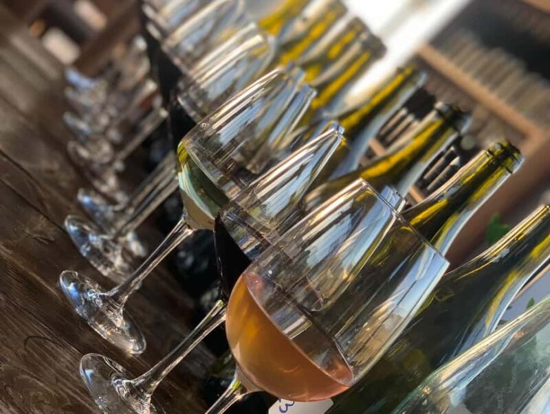 From Vlora: Zvernec, Apollonia & Wine Tasting Day Tour - Starting from Vlora: Convenient Meeting Point and Early Departure