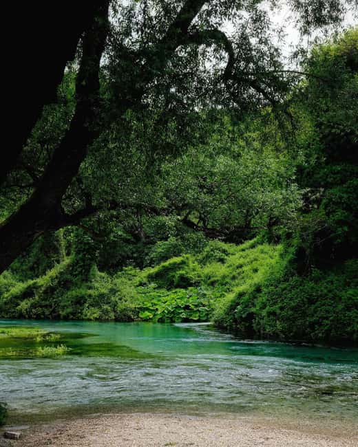 From Vlora:Tepelene Springs, Gjirokaster & Blue Eye Day Tour - Why This Tour Shines for Visitors