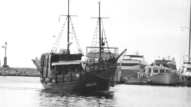 From Vrsar: Boat Trip to Rovinj and Lim Fjord - Return Journey to Vrsar