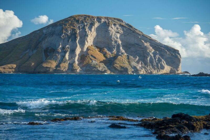 From Waikiki: Best of Oahu Photo Tour with Pickup - Food and Local Flavor at Ono Steak and Shrimp