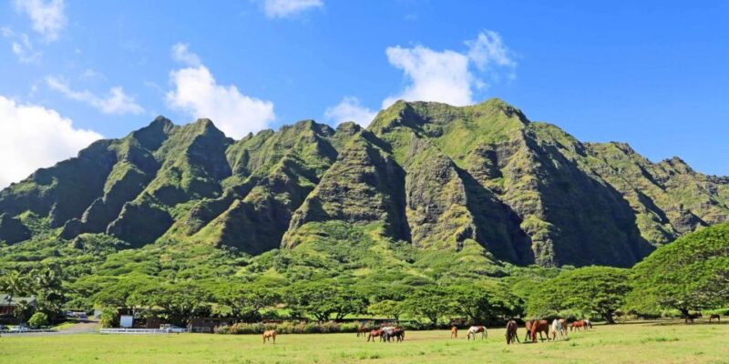 From Waikiki: Circle Island Tour - Discover Diverse Beauty: Ocean Blowholes, Temples, and Lush Farms