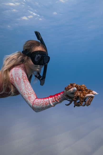 From Waikiki: Turtle Canyon Snorkeling Tour - How This Tour Compares to Other Water Activities in Waikiki