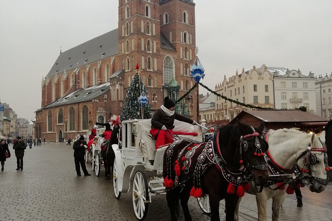 From Warsaw Auschwitz and Krakow one day tour by train with pick up and drop off - Who Will Enjoy This Tour Most