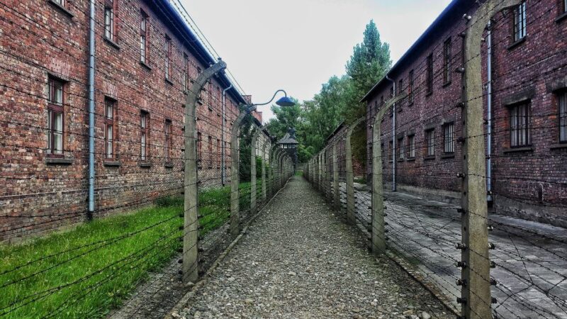 From Warsaw: Auschwitz-Birkenau Guided Tour with Fast Train - Exploring Auschwitz I: The Original Camp Structures