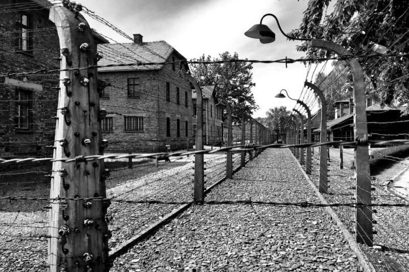 From Warsaw: Auschwitz-Birkenau Guided Tour with Fast Train - The Role of a Licensed Guide and Clear Narration