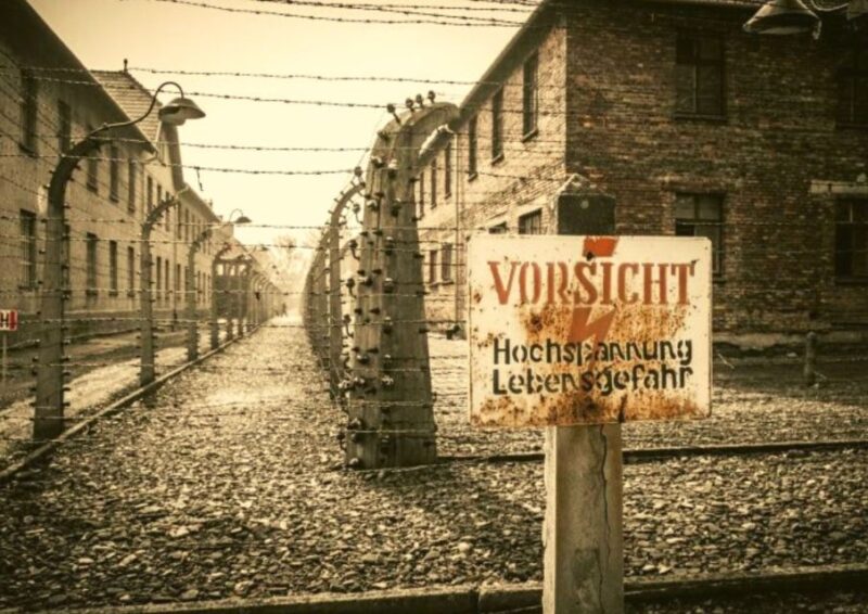From Warsaw: Auschwitz-Birkenau Small Group Tour with Lunch - Key Points