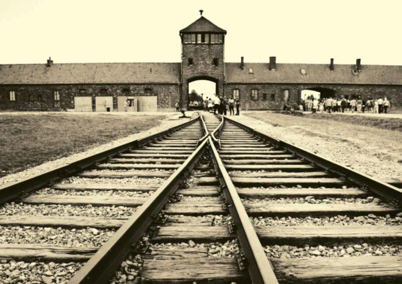 From Warsaw: Auschwitz-Birkenau Small Group Tour with Lunch - Logistics: Small Group Dynamics and Accessibility