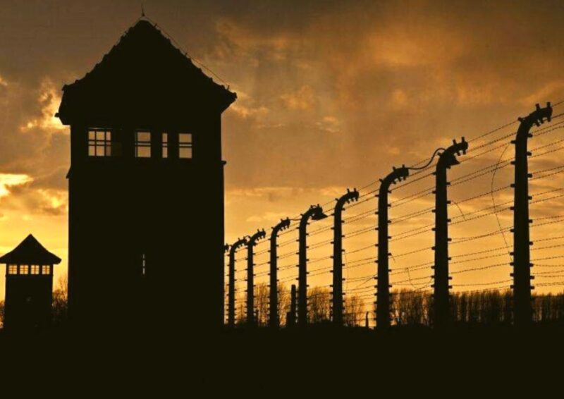 From Warsaw: Auschwitz-Birkenau Small Group Tour with Lunch - The Experience Provider: AB Poland Travel