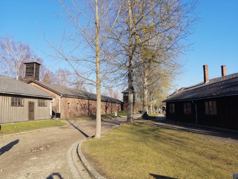 From Warsaw: Auschwitz-Birkenau Tour by Car - Logistics and Comfort: Easy and Punctual Service