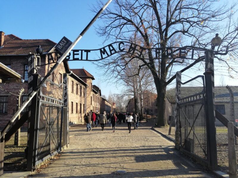 From Warsaw: Auschwitz-Birkenau Tour by Car - Food and Breaks During the Day Trip