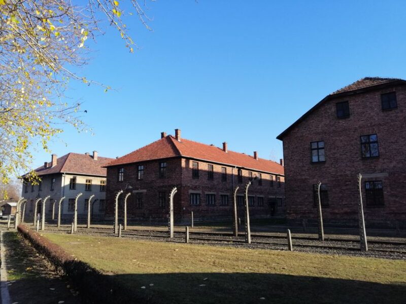 From Warsaw: Auschwitz-Birkenau Tour by Car - Final Thoughts: A Well-Organized and Respectful Experience