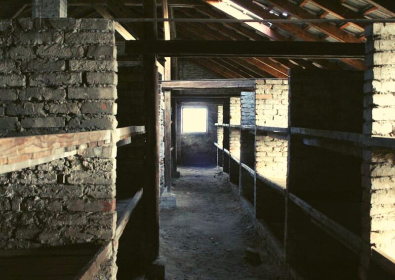 From Warsaw: Auschwitz Day Tour by Private Car with Lunch - The Experience as Described in Reviews