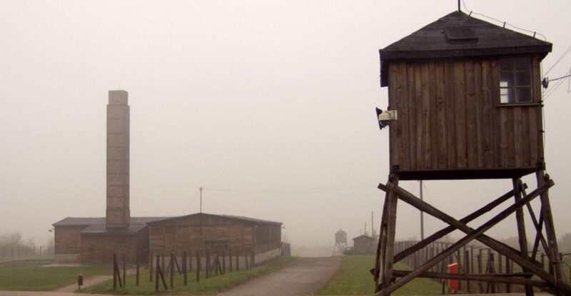 From Warsaw: Kazimierz Dolny, Lublin, Majdanek & Kozlowka - Who Will Appreciate This Tour Most?