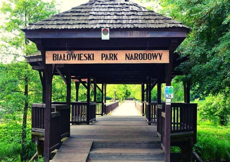 From Warsaw: Small-Group Tour to Bialowieza National Park - Introduction to the Bialowieza National Park Tour from Warsaw