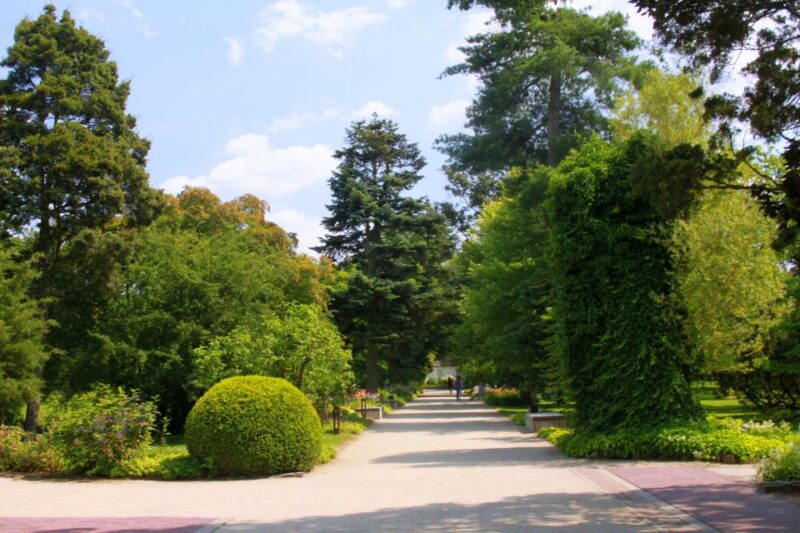 From Warsaw: Tour to Chopin's Birthplace - elazowa Wola - Final Thoughts on the Chopin Birthplace Tour