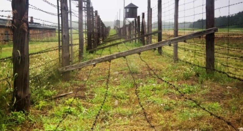 From Warsaw: Tour to Majdanek Concentration Camp and Lublin - Reflection and Personalization During the Tour