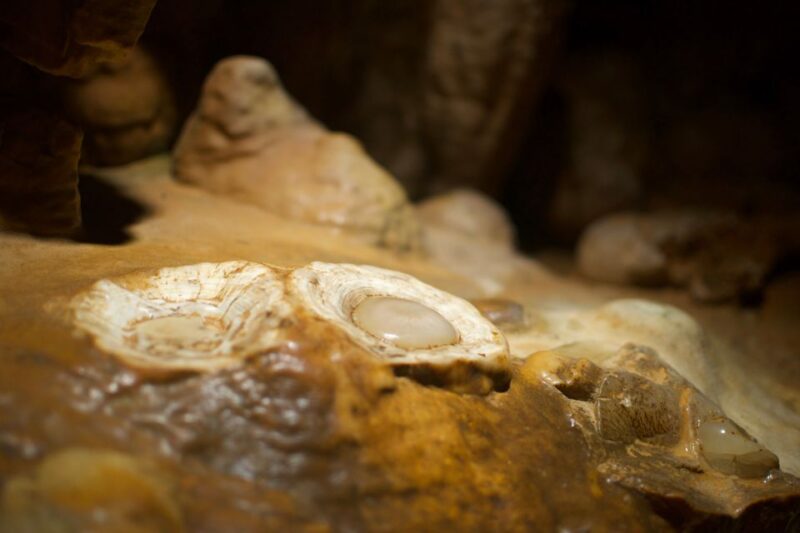 From Washington DC: Day Trip to Luray Caverns - Explore Virginia’s Natural Wonder on a Full-Day Trip to Luray Caverns