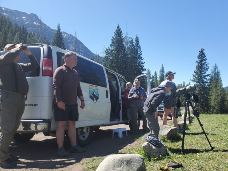 From West Yellowstone: Lamar Valley Wildlife Tour by Van - Morning Snack and Viewing of Wolves