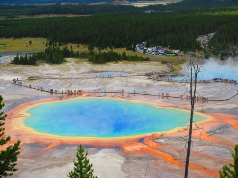 From West Yellowstone: Lower Loop Active Van Tour - Visiting Mud Volcano and Encountering Yellowstone’s Dynamic Geothermal Activity