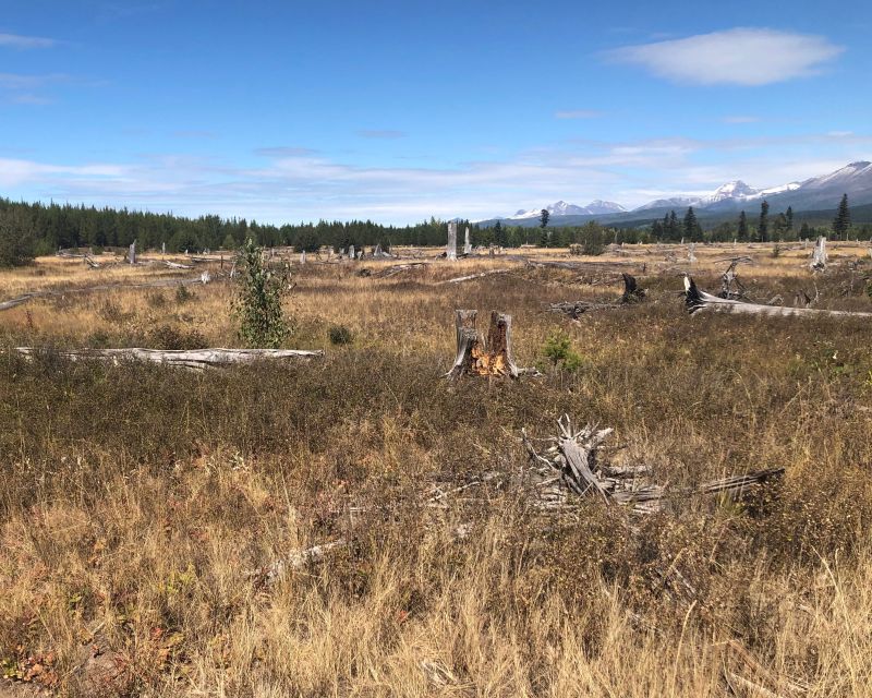 From Whitefish: West Glacier & Polebridge Day Tour - Crossing Hungry Horse Dam and Its Reservoir Views