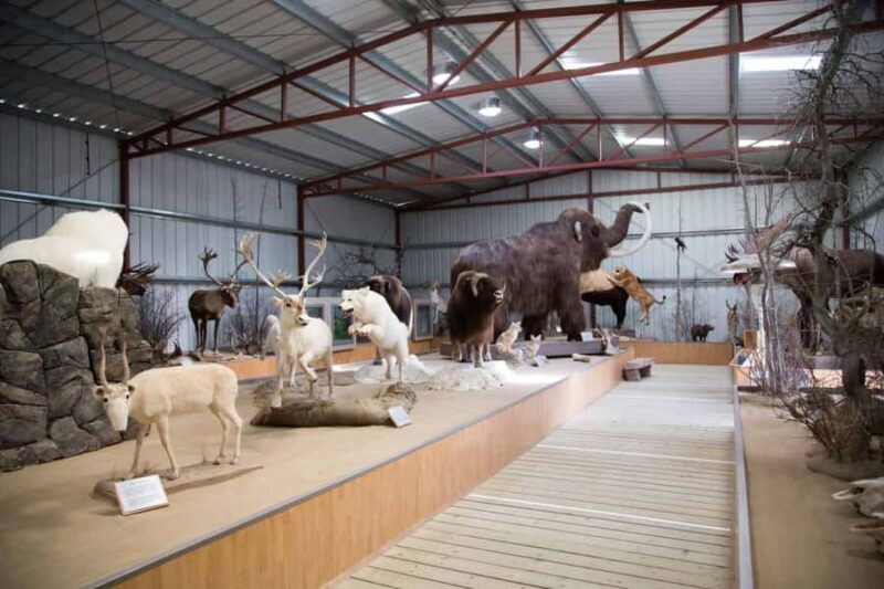 From Whitehorse: Klondike Gold Rush Tour incl. Emerald Lake - Gold Panning: The Ultimate Gold Rush Experience