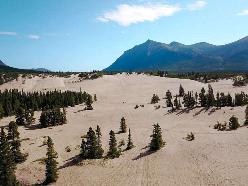 From Whitehorse: Skagway Day-Trip - Wildlife Encounters and Regional Nature Observations