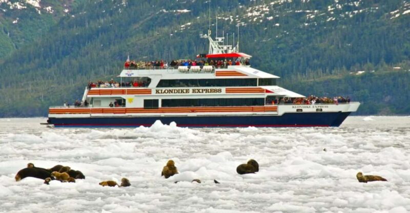 From Whittier/Anchorage: Prince William Sound Glacier Cruise - Up-Close Views of Harriman and College Fjord Glaciers
